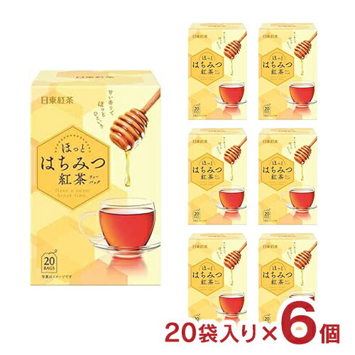 紅茶 日東紅茶 はちみつ紅茶 ティーバッグ 44g 20袋入り 6個 はちみつ 蜂蜜 ホットティー アイスティー 送料無料