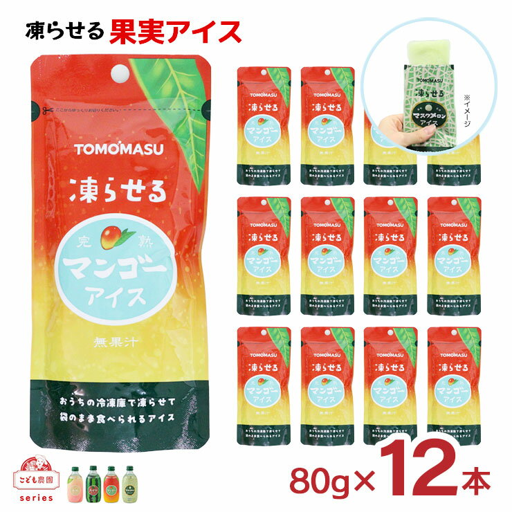 【12/4 20:00〜12/11 1:59 エントリーでP5倍】フルーツ シャーベット 凍らせる 果実アイス マンゴー 80..