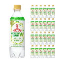 【7/4 20:00~7/11 1:59 エントリーでP5倍】アサヒ 三ツ矢サイダーW PET 485ml 24本 (1ケース) 送料無料