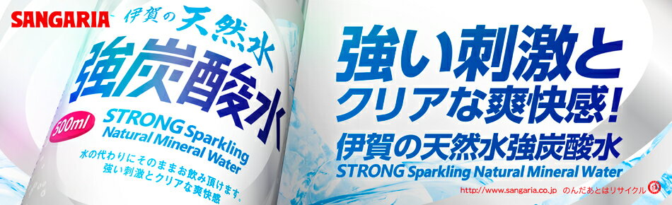 8/19 20:00〜8/23 1:59 全品ポイント5倍 炭酸水 サンガリア 伊賀の天然水 強炭酸水 500ml 48本 ( 24本入 2ケース ) 強炭酸 炭酸 ソーダ 送料無料