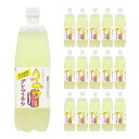 博水社 ハイサワー グレープフルーツ 1000ml 15本 清涼飲料水 炭酸飲料 割り材 取り寄せ品 送料無料