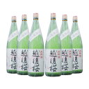 越後桜酒造(株) 大吟醸 越後桜 1800ml 6本 日本酒 大吟醸酒 取り寄せ品 送料無料