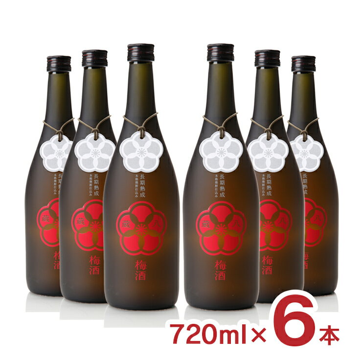 梅酒 長期熟成本格焼酎仕込み 蔵八梅酒 720ml 6本 リキュール 堤酒造 送料無料