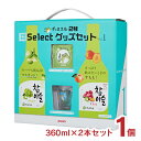 チャミスル チャミスル2種select グッズ セット 360ml 各2本 1個 眞露 JINRO  ...