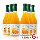 【7/19 20:00〜7/26 1:59 エントリーでP5倍】リキュール デコポンのお酒 720ml 6本 熊本 オレンジ 甘味料不使用 不知火 堤酒造 送料...