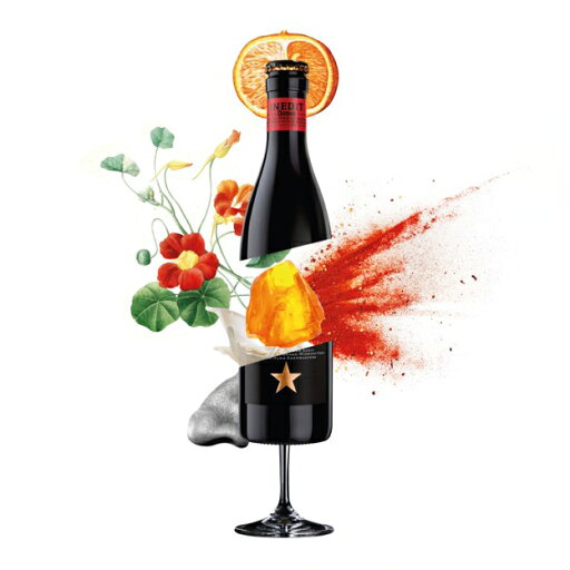 【クール便限定】バーントミル フィールズ オブ ネルソン IPA 6% 440ml イギリス 輸入ビール 珍しい 美味しい 宅のみ 家飲み おうち飲み ギフト おしゃれ缶 アート缶 酒のたなか 賞味期限:2026年1月6日