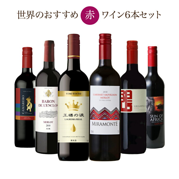クリスマス ワイン ソムリエが選ぶ 世界の赤ワイン セット 750ml 6本 チリ フランス イタリア スペイン 南アフリカ 送料無料 年末年始 お正月のサムネイル