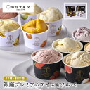 銀座千疋屋 銀座プレミアムアイス&ソルベ 10種 計20個 0820192 アイス 千疋屋 ギフト 中元 歳暮 お取り寄せ グルメ 冷凍 産地直送 送料無料