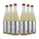 人気酒造 人気一 瓶内発酵 スパークリング純米吟醸 720ml 6本 日本酒 福島 ふくしまプライド 取り寄せ品 送料無料
