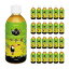 マテ茶 マテ茶 (330ml×24本) 1ケース 盛田 送料無料 取り寄せ品 2,729円