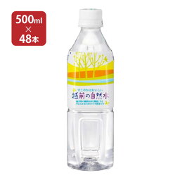 水 越前の自然水 (500ml 48本) 2ケース 盛田 送料無料 取り寄せ品