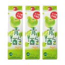 りんご酒 女子美酒部 青りんご酒 2000ml パック 3本 サクラオB&D 送料無料