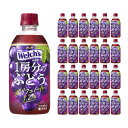 商品説明 商品名 Welch's1房分のぶどう PET 470ml 内容量 470ml×24本 商品コメント 【ポリフェノールたっぷり濃いおいしさ】たっぷりのぶどうをほおばったような濃くて飲み応えがあるおいしさに加え、ぶどう1房分のポリフェノールが摂れる果汁飲料です。 原材料 ぶどう(アメリカ産)、砂糖類(果糖ぶどう糖液糖、砂糖)／酸味料、香料 原産国 日本