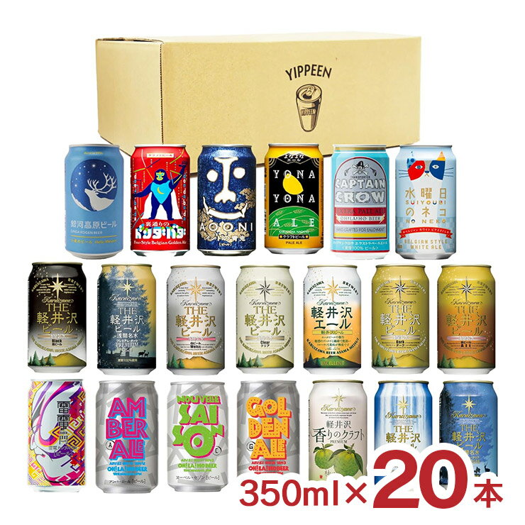 アウトレット 長野 クラフトビール 350ml 20缶 セット 賞味期限間近 送料無料 訳あり