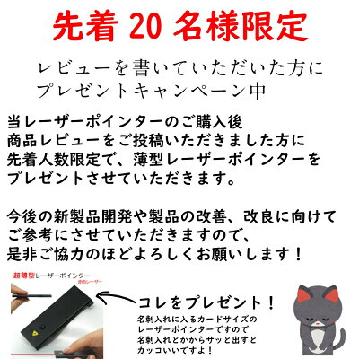 レーザーポインター グリーン 緑 タッチペン付 RB-18G 1年間品質保証 PSCマーク付 安全規格認証品 送料無料 rsl