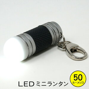 楽天市場 夏季休業期間中ポイント3倍 Lux Pro ミニ Led ランタン キーホルダー Ledライト 小さくても本格派 東京道具商会 楽天市場 夏季休業期間中ポイント3倍 Lux Pro ミニ Led ランタン キーホルダー Ledライト 小さくても本格派 東京道具商会