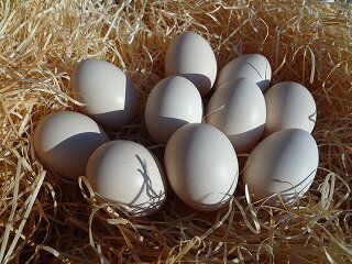 商品詳細 原材料 うこっけい卵 内容量 20個 賞味期限 賞味期限は生まれてから生食の期限として2週間になります。 商品に賞味期限の日付を入れたラベルを貼って発送しています。 保存方法 冷蔵にて保存 使用方法 生食の場合は賞味期限内に使用し...