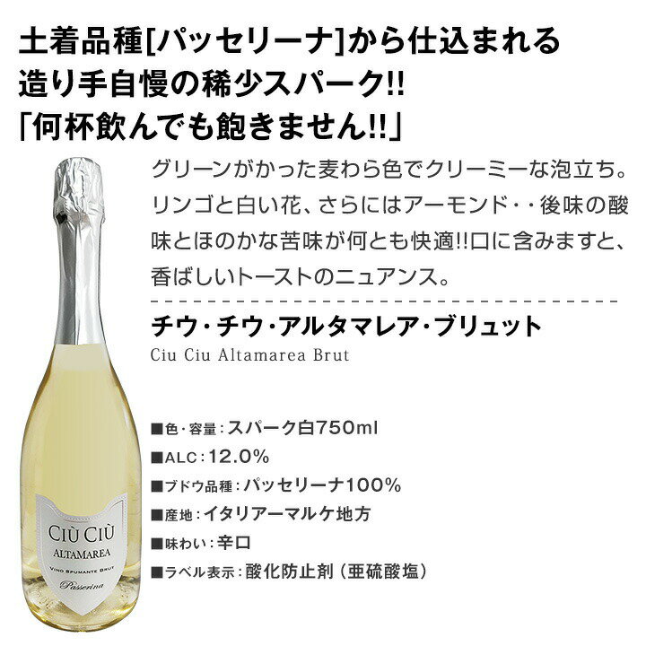 【送料無料】母の日ギフトスパークセット(お花付リボンバッグ）