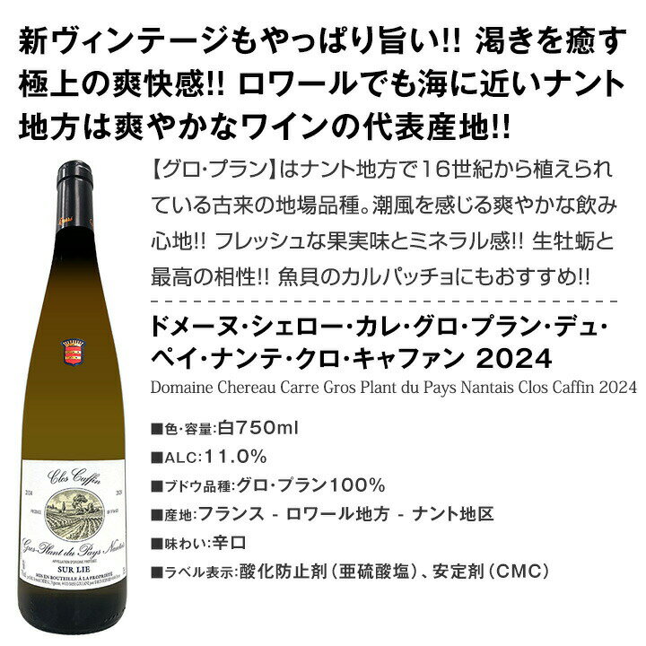 ������̵������67�ơ���Ź��ˢ丷������磻�󹥤��ʤ餳�Υ��åȡ����̤���̣�������ڤ䤫�ʾ����磻���¸ʬ��̣�臘������磻��6�ܥ��åȡ�