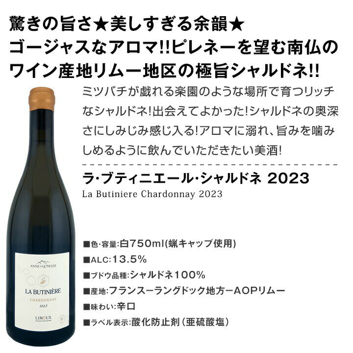 ������̵���۶˻ݥ֥르���˥�����������ե�󥹻������ɥ�4�ܥ��å�!!