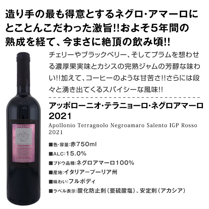 【送料無料】★110セット限り・端数在庫一掃★ワンランク上の極旨イタリアワイン5本セット!! tokyo-wg-10120162 東京ワインガーデン サンプル画像2