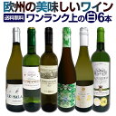 白ワインセット 【送料無料】第178弾！当店厳選！これぞ極旨辛口白ワイン！『白ワインを存分に楽しむ！』味わい深いスーパー・セレクト白 750ml 6本セット ワイン ワインセット 辛口 シャルドネ 金賞ワイン 飲み比べ 詰め合わせ ギフト プレゼント 贈り物