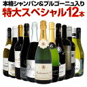 【送料無料】第47弾！本格シャンパン＆ブルゴーニュ入り！特大スペシャル12本セット！ ワイン ワインセット セット 赤ワインセット 赤ワイン 白ワインセット 白ワイン スパークリングワインセット 飲み比べ ギフト プレゼント 辛口 750ml