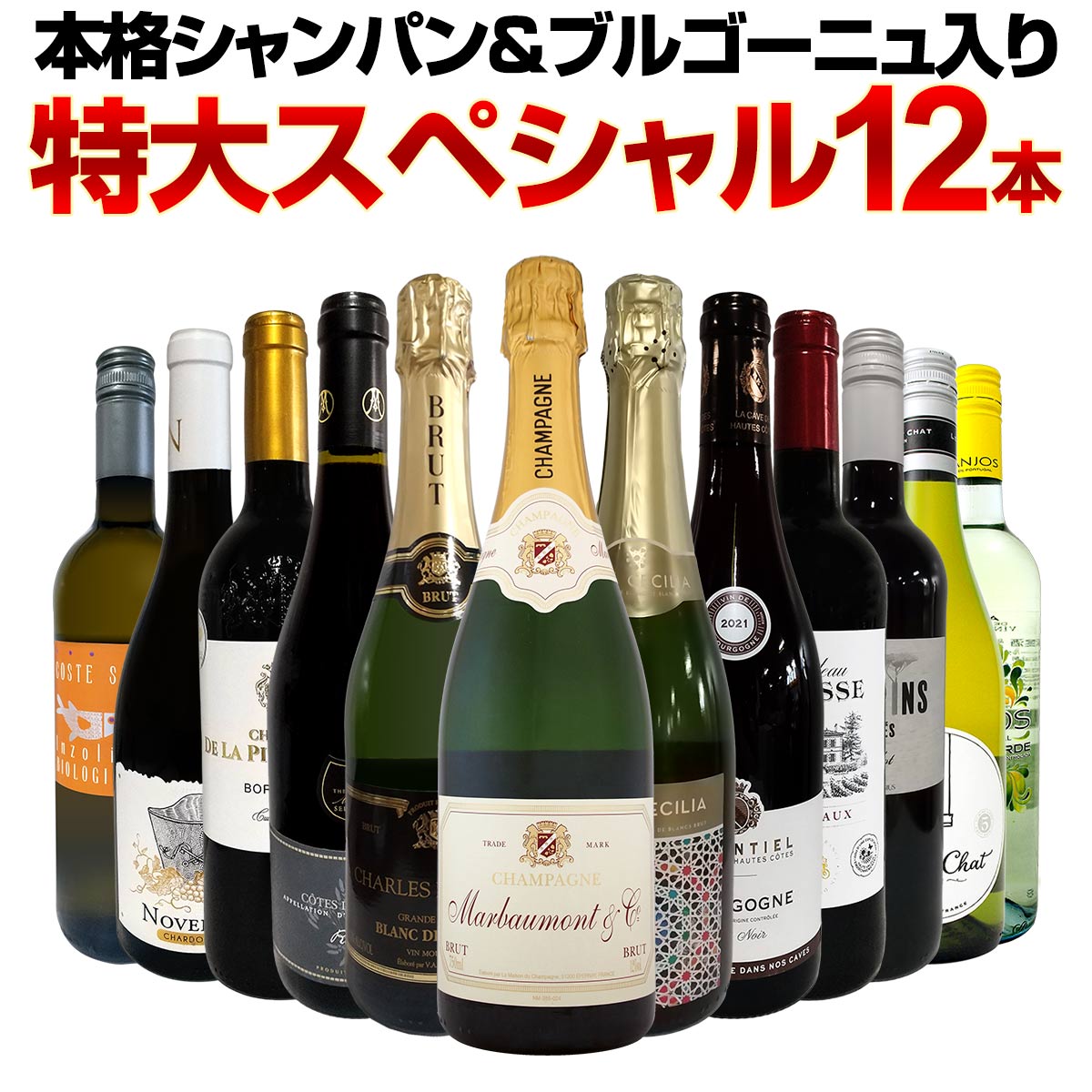 【送料無料】第48弾！本格シャンパン＆ブルゴーニュ入り！特大スペシャル12本セット！ ワイン ワインセット セット 赤ワインセット 赤ワイン 白ワインセット 白ワイン スパークリングワインセット 飲み比べ ギフト プレゼント 辛口 750ml