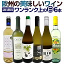 白ワインセット 第199弾!当店厳選!これぞ極旨辛口白ワイン!『白ワインを存分に楽しむ!』味わい深いスーパー・セレクト白 750ml 6本セット ワイン ワインセット 辛口 シャルドネ 金賞ワイン 飲み比べ 詰め合わせ ギフト プレゼント