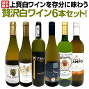【送料無料】第58弾!当店≪極≫厳選!白ワイン好きならこのセット!格別の美味しさ!華やかな上質白ワインを存分に味わう贅沢白ワイン6本セット!