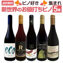 【送料無料】ピノ好き集まれ!マスター・オブ・ワイン監修のカリフォルニア・ピノも登場!新世界のお値打ちピノ5本セット!
