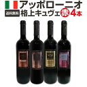 【送料無料】大人気イタリアン【アッポローニオ】濃厚極旨格上キュヴェ4本セット
