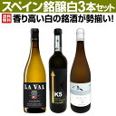 【送料無料】香り高い白の銘酒が勢揃い!スペイン銘醸白ワイン3本セット!