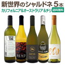 【送料無料】SNSでも話題のニュー・ブランドが初登場!お買い得ワインを集めた新世界のシャルドネづくし5本セット!
