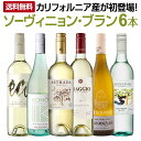 【送料無料】カリフォルニア産ソーヴィニョン・ブランが初登場!爽快さわやかなソーヴィニョン・ブラン厳選6本!!