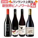 【送料無料】当店独自輸入のピノ2本をメインに、ワンランク上質な新世界ピノ・ノワール4本セット!