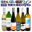 白ワイン 辛口 セット ワインセット 白 ワイン ギフト 箱 京橋ワイン 京橋わいん 特選 6本 お歳暮飲み比べ シャルドネ 金賞 送料無料 【 第225弾 当...
