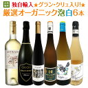 【送料無料】★当店独自輸入★グラン・クリュ入り・バイヤー厳選世界のオーガニック泡白6本セット!