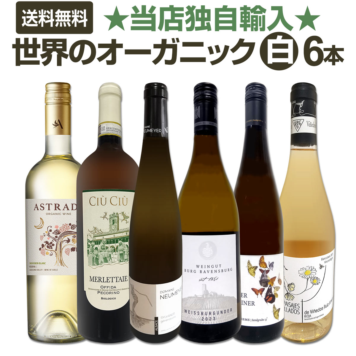 ̵ۡŹȼ͢Х䡼Υ˥å磻6ܥåȡ