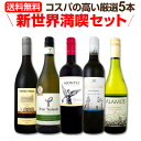 【マラソン限定全品10%OFFクーポン+P10】【送料無料】新世界満喫セット!とにかくコスパの高いワインを集めたスタッフ厳選5本セット!