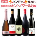 【11月21日限定10%OFFクーポン+P5倍UP】【送料無料】ピノ好き集まれ!デイリーからデートシーンまでいつでもどこでもピノ5本セット!