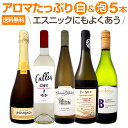 【11月21日限定10%OFFクーポン+P5倍UP】【送料無料】超お買い得!アロマたっぷりの白&泡5本セット!