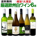 【11月21日限定10%OFFクーポン+P5倍UP】ワイン 【送料無料】第128弾!当店厳選!これぞ極旨辛口白ワイン!『白ワインを存分に楽しむ!』味わい深いスーパー・セレクト白6本セット