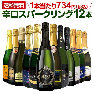 スパークリングワインセット【送料無料】第45弾!選び抜いたハイクオリティ泡ばかり12本!辛口スパークリングワインセット!ワイン ワインセット 白 泡 辛口 金賞受賞 ギフト プレゼント 飲み比べ 詰め合わせ セット