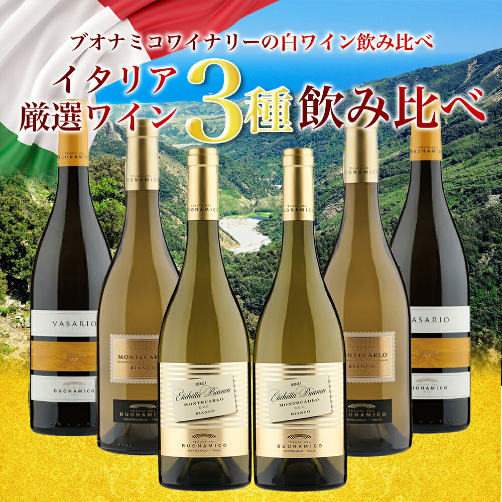 送料無料 ワインセット 6本 20％OFF イタリア ブオナミコ 白ワイン飲み比べまとめ買い お買い得 白ワイン イタリア トスカーナ ワイン 辛口 すっきり フルーティー 芳醇 しっかり BUONAMICO wine ブオナミーコ 箱入り 家飲み パーティー ギフト プレゼント