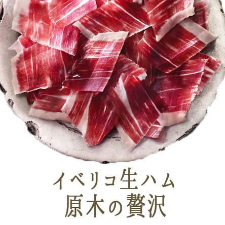 イベリコ豚 【送料無料】イベリコ豚　ベジョータ　生ハム　24ヵ月　骨無　前足　パレタ　prosciutto＜スペイン産＞【1.5kg以上】【冷蔵品】