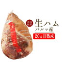 【送料無料】生ハム　パルマ産　プロシュート　骨無　ブロック　原木prosciutto＜イタリア産＞【約8-9kg】【\520/100g当たり再計算】【冷蔵品】【20ヵ月熟成】