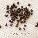 【あす楽】BIO　ティムトペッパー　ネパールペッパー　＜ネパール産＞　【10g/50g/200g】【常温品】チムトペッパー