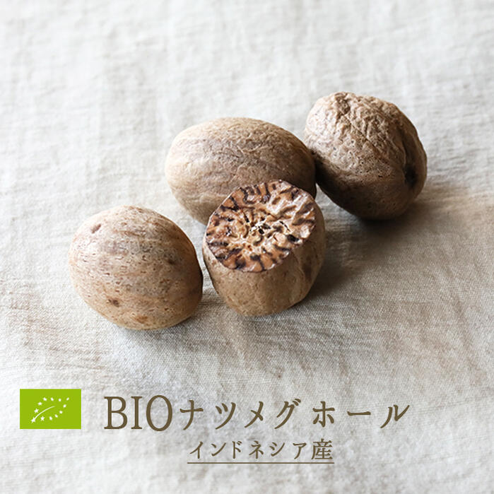 《あす楽》BIO　ナツメグ　ホール　スパイス　ホールスパイス　 Nutmeg＜インドネシア産＞　【2個（約10g）/5個（約25g）/10個（約50g）】【常温品】【常温/冷蔵混載可】 1