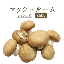 ブラウンマッシュルーム　マッシュルーム　フランス産きのこ　フレッシュ＜フランス産＞【250g】【冷蔵品】